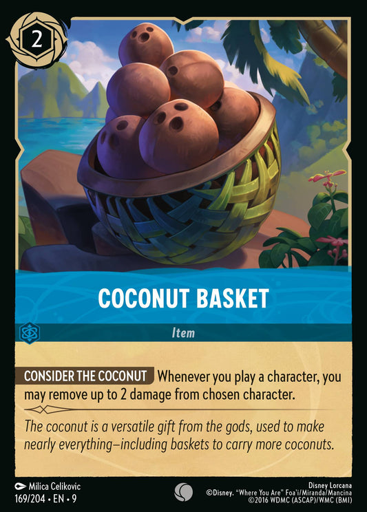 169/242 Coconut Basket